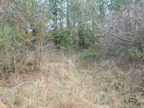 3711 Corman Oneal, Gloster, MS 39638 photo 18