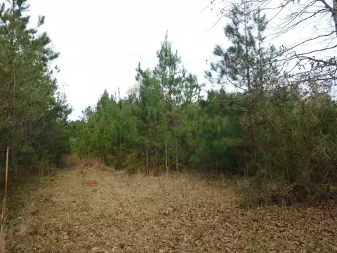 3711 Corman Oneal, Gloster, MS 39638 photo 12