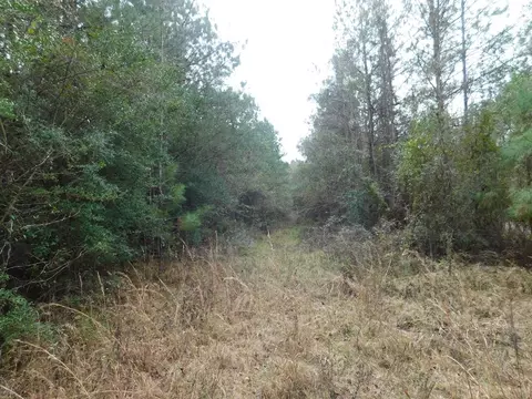 3711 Corman Oneal, Gloster, MS 39638 photo 3