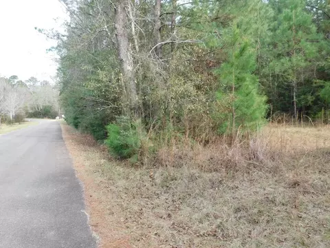 3711 Corman Oneal, Gloster, MS 39638 photo 10