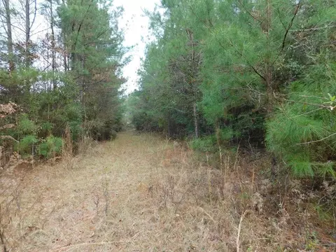 3711 Corman Oneal, Gloster, MS 39638 photo 2