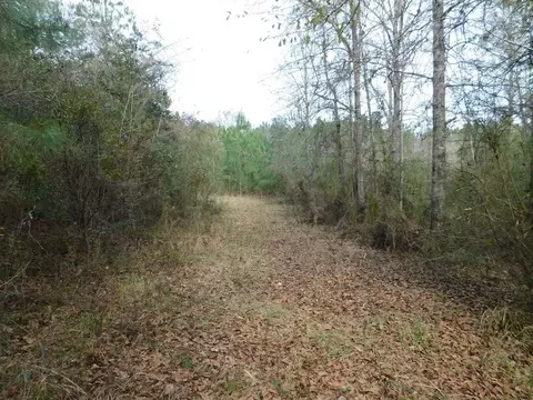 3711 Corman Oneal, Gloster, MS 39638
