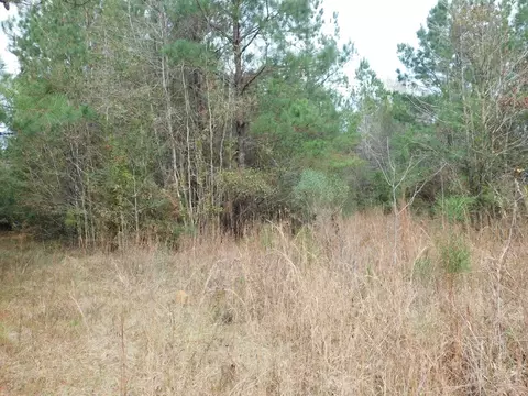 3711 Corman Oneal, Gloster, MS 39638 photo 17