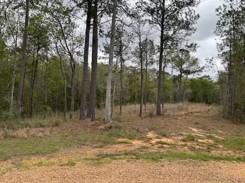 1085 Hillcrest Farms Ln, Summit, MS 39666