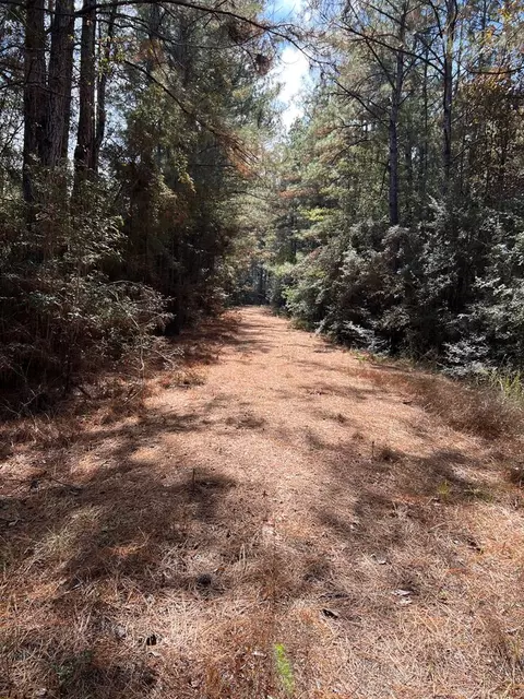 Nnn Hwy 98 We Street, Summit, MS 39666