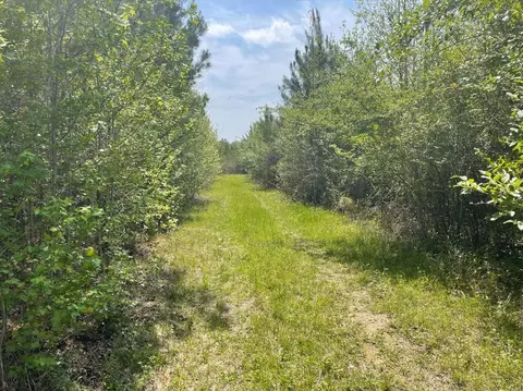 0 Allen Rd, Smithdale, MS 39664 photo 2