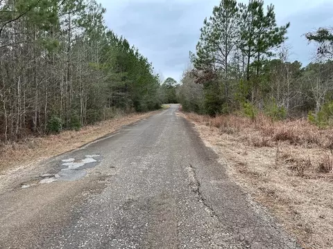 0 Allen Rd, Smithdale, MS 39664 photo 9