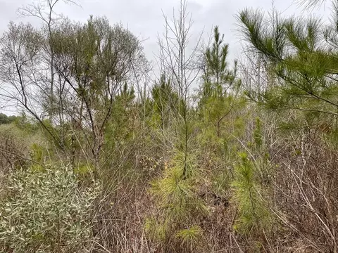 0 Allen Rd, Smithdale, MS 39664 photo 7