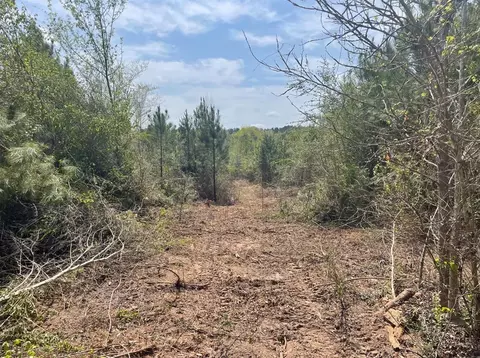 0 Allen Rd, Smithdale, MS 39664 photo 5