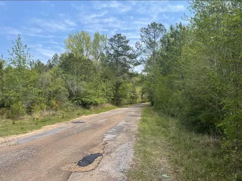 0 Allen Rd, Smithdale, MS 39664 photo 6