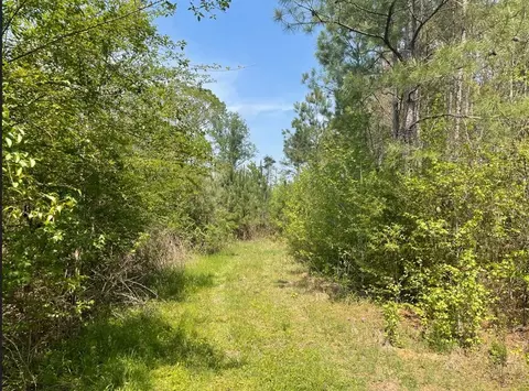 0 Allen Rd, Smithdale, MS 39664 photo 4