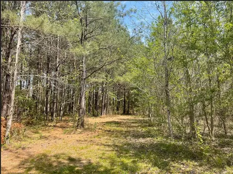 0 Allen Rd, Smithdale, MS 39664 photo 3