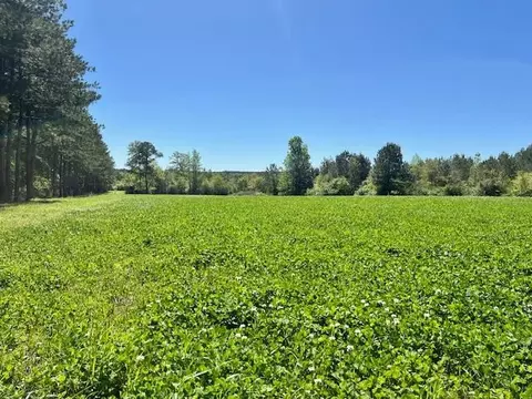 212 Beaverdam Rd, Tylertown, MS 39667