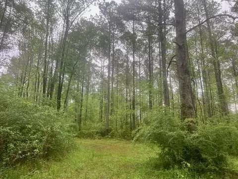 0 Coleman Rd, Liberty, MS 39645