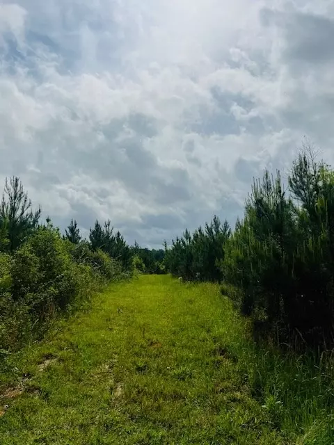 tbd Jewell Dr, Mccomb, MS 39648 photo 26