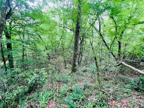 tbd Jewell Dr, Mccomb, MS 39648 photo 10