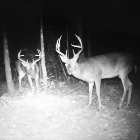 tbd Jewell Dr, Mccomb, MS 39648 photo 30