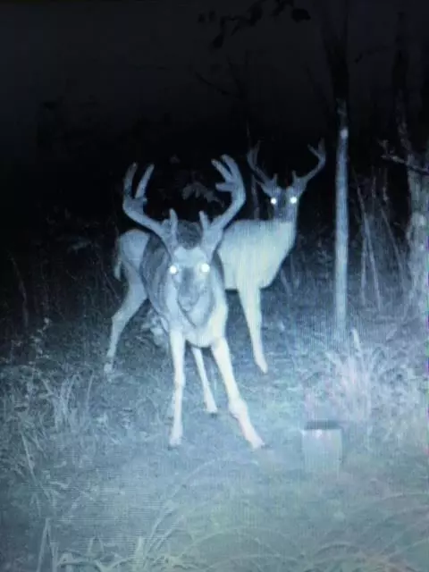 tbd Jewell Dr, Mccomb, MS 39648 photo 29