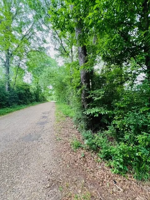 tbd Jewell Dr, Mccomb, MS 39648 photo 3