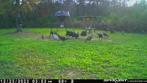 tbd Jewell Dr, Mccomb, MS 39648 photo 35