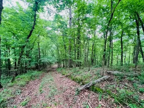 tbd Jewell Dr, Mccomb, MS 39648 photo 7