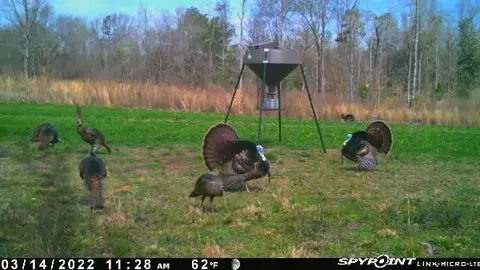 tbd Jewell Dr, Mccomb, MS 39648 photo 33