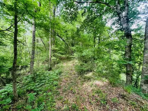 tbd Jewell Dr, Mccomb, MS 39648 photo 28