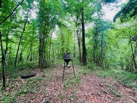 tbd Jewell Dr, Mccomb, MS 39648 photo 8