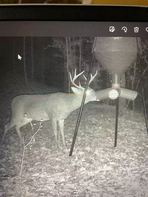tbd Jewell Dr, Mccomb, MS 39648 photo 36
