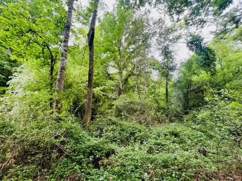 tbd Jewell Dr, Mccomb, MS 39648 photo 9