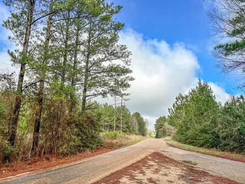 000 Lucas Hollow Rd, Mount Olive, MS 39119 photo 18