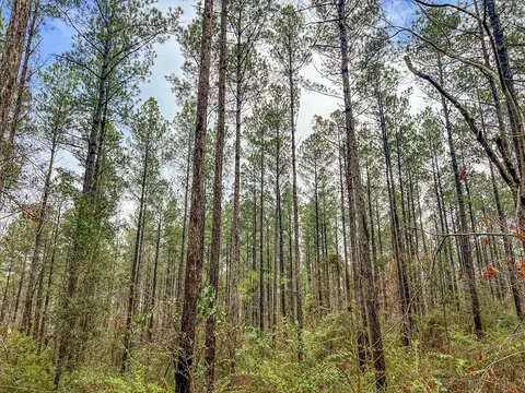 000 Lucas Hollow Rd, Mount Olive, MS 39119 photo 13