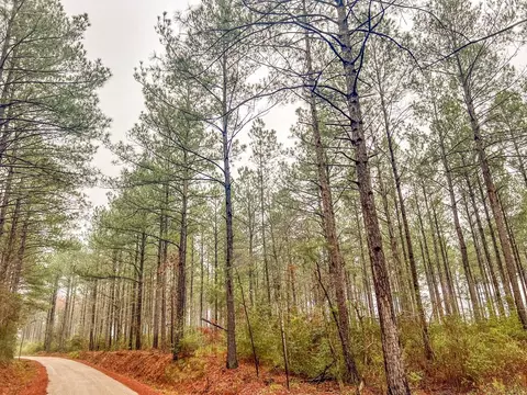 000 Lucas Hollow Rd, Mount Olive, MS 39119 photo 3