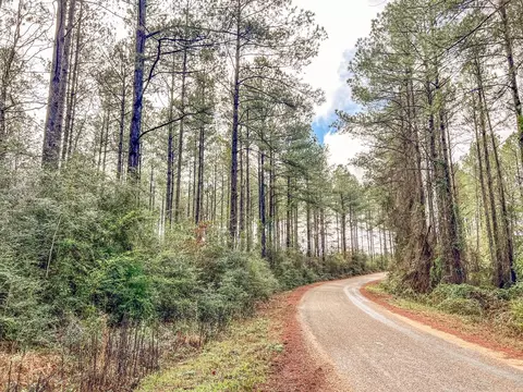 000 Lucas Hollow Rd, Mount Olive, MS 39119 photo 17