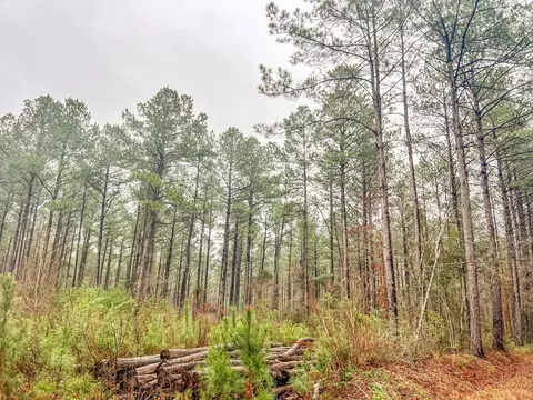 000 Lucas Hollow Rd, Mount Olive, MS 39119 photo 5