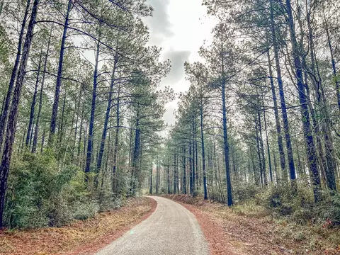 000 Lucas Hollow Rd, Mount Olive, MS 39119 photo 16