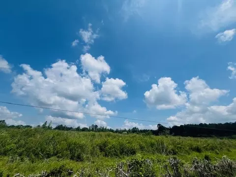 tbd Pittman Rd, Kokomo, MS 39643 photo 5