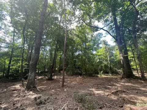 00 Allison Dr, Mccomb, MS 39648 photo 2