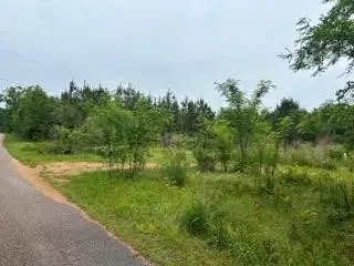 64 Nunnery Rd, Smithdale, MS 39664