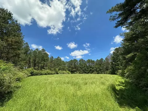 1 Mt Zion Rd, Magee, MS 39111