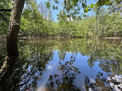 1 Mt Zion Rd, Magee, MS 39111 photo 7