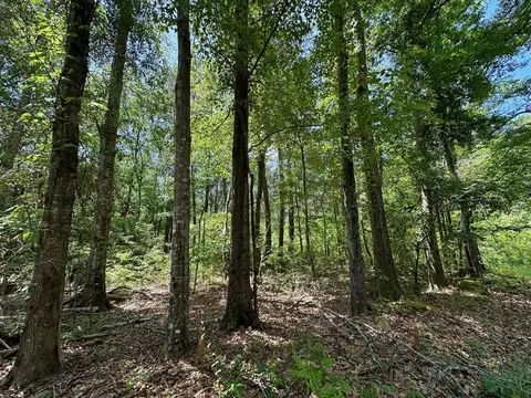 1 Mt Zion Rd, Magee, MS 39111 photo 4