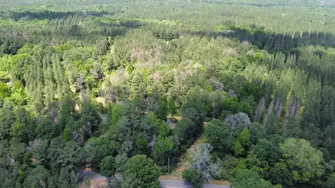 1 Mt Zion Rd, Magee, MS 39111 photo 14