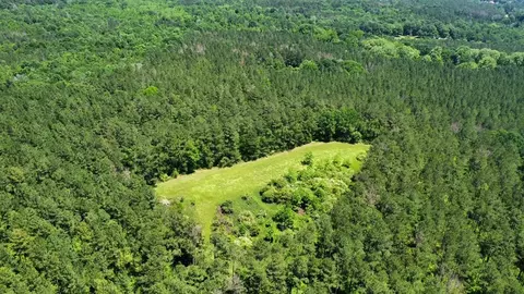 2 Mt Zion Rd, Magee, MS 39111 photo 26