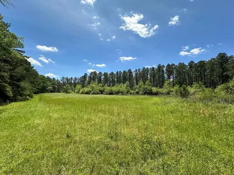 2 Mt Zion Rd, Magee, MS 39111 photo 17