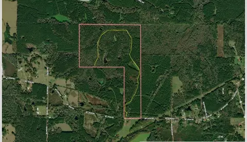 2 Mt Zion Rd, Magee, MS 39111 photo 30