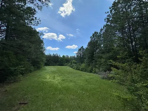 2 Mt Zion Rd, Magee, MS 39111 photo 14