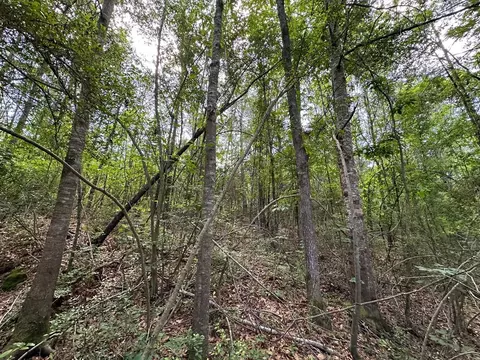 2 Mt Zion Rd, Magee, MS 39111 photo 12