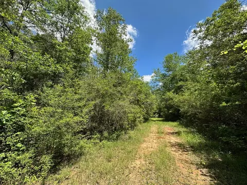 2 Mt Zion Rd, Magee, MS 39111 photo 6