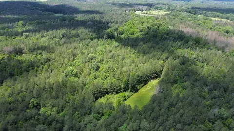 2 Mt Zion Rd, Magee, MS 39111 photo 23